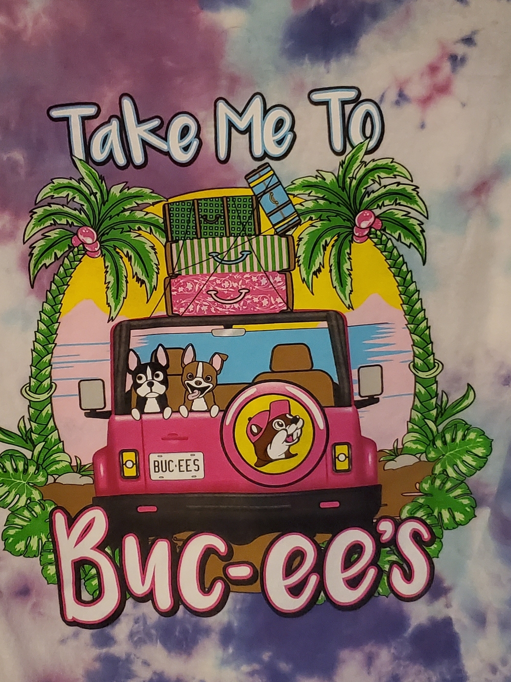 Womens Bucees Tie-Dye Graphic Tee - Purple & Blue Small EUC